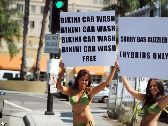 Bikini car wash. Hybrid only.  (21 pics)