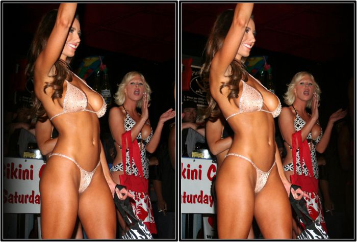 Miss Bikini  USA 2008 in 3D (25 pics)