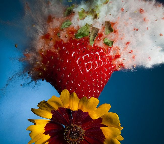 Amazing High Speed Photography by Alan Sailer (99 pics)