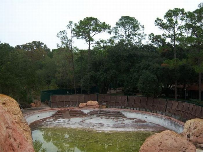 Abandoned water park at Walt Disney World (56 pics)