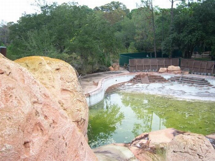 Abandoned water park at Walt Disney World (56 pics)