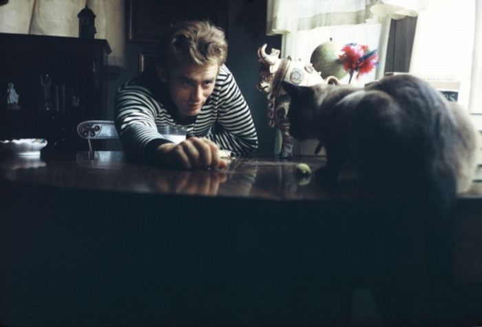 famous_people_and_their_cats_20.jpg