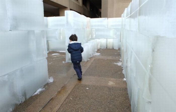 Ice Labyrinth in Buffalo (20 pics)