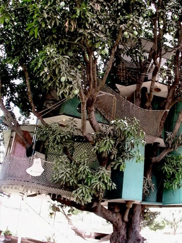 House on a Mango Tree (11 pics)