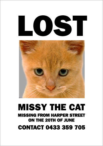 Make Me a Poster of My Missing Cat (19 pics)