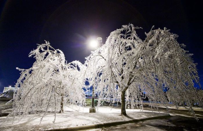 Beautiful Winter Photos (49 pics)