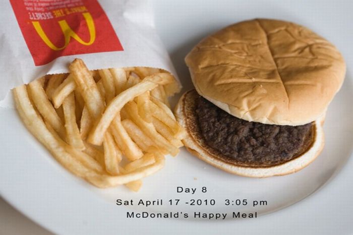 Happy Meal Project (15 pics)