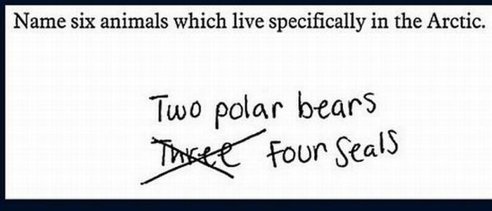 funny exam answers. Funny Exam Answers (23 pics)