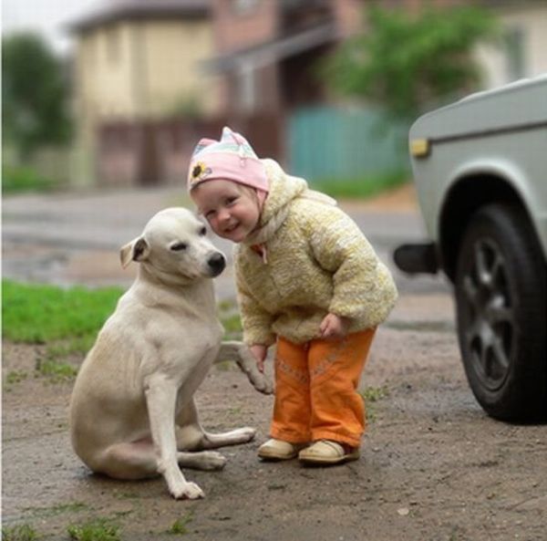 A Child and a Dog Friendly Greetings (4 pics)