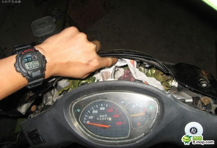 Surprise Inside a Motorbike (7 pics)