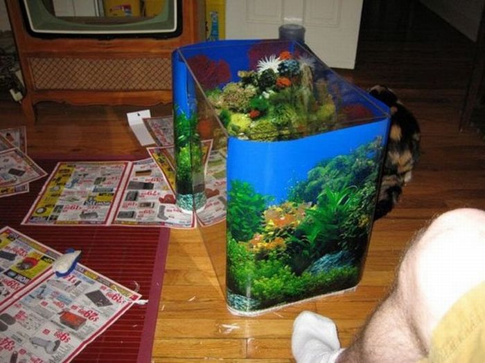A Fish Tank Made Out of Old TV (18 pics)
