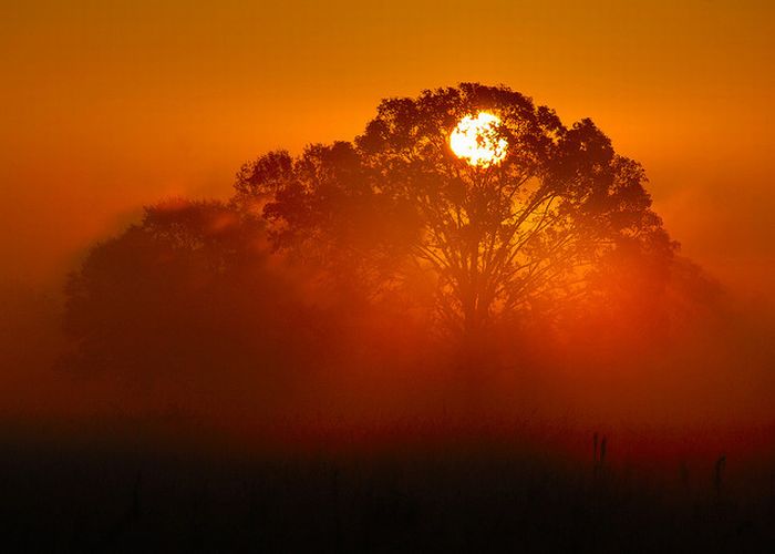 Beautiful Sunrise Photos (55 pics)