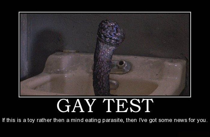 Demotivational Posters Gay Test 120