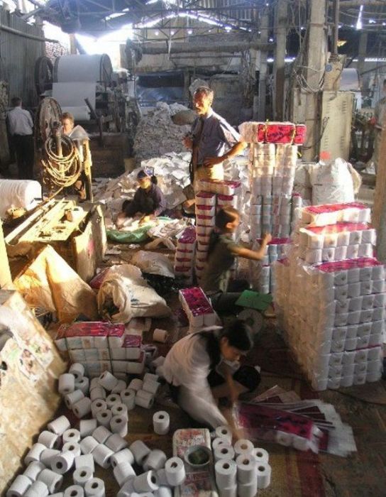 Chinese Toilet Paper Factory (24 pics)