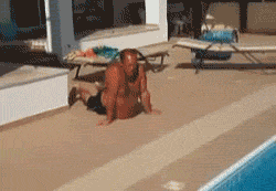 Funny Animated GIfs 14