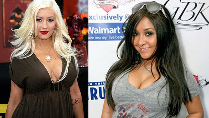 Christina Aguilera And Snooki Are Twins (10 pics)