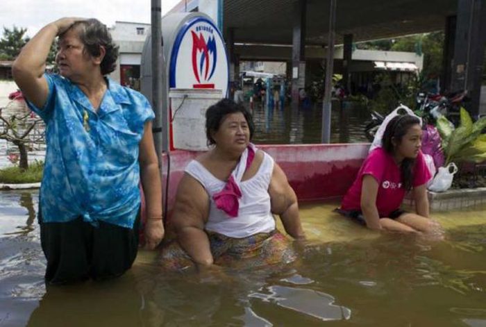 Monsters on the Run after Severe Flooding in Thailand  (24 pics)