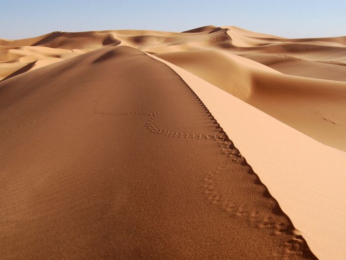 Beautiful Dunes (34 pics)
