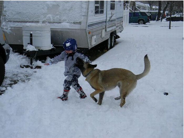 histoire incroyable de Lucas Hembree et son chien de Juno