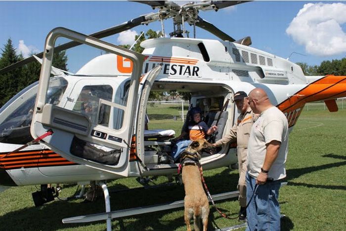 histoire incroyable de Lucas Hembree et son chien de Juno