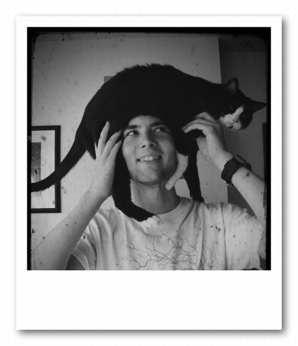 Cat Hats (40 pics)