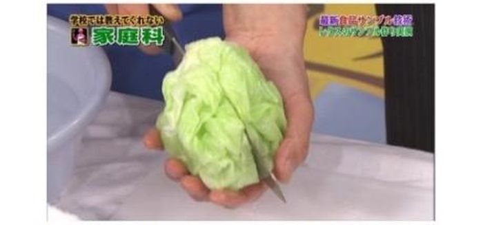 Fake Cabbage. Made in China (8 pics)