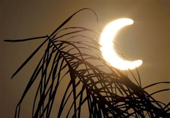 Beautiful Photos Of The Solar Eclipse (50 pics)