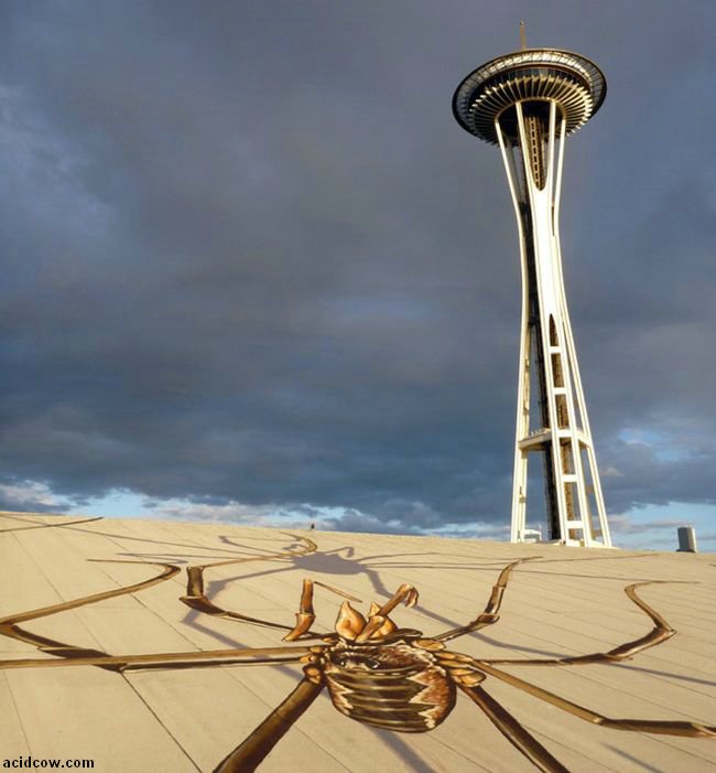 Daddy Long-Legs Overtake the Seattle Center Armory (4 pics)