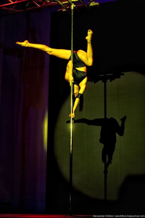 Pole Dancers (57 pics)