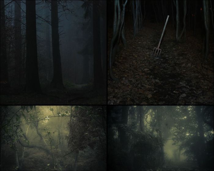 Scary Woods (54 pics)