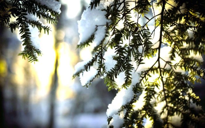 Εικόνες Όμορφη Χειμώνας (34 pics)