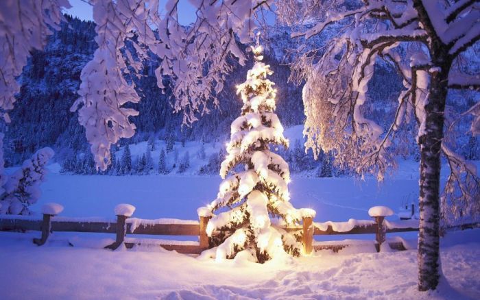 Εικόνες Όμορφη Χειμώνας (34 pics)