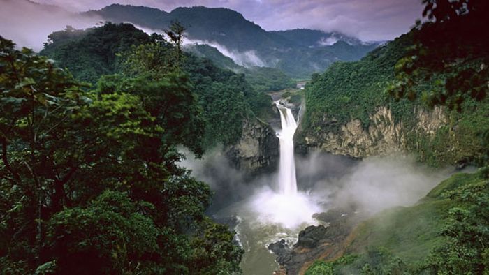 Η ομορφιά του δάσος του Αμαζονίου (46 pics)