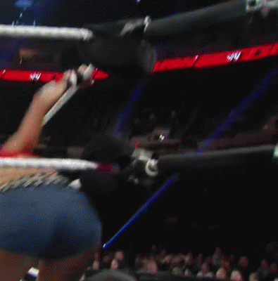 WWE Divas Are A Sight For Sore Eyes (50 gifs)