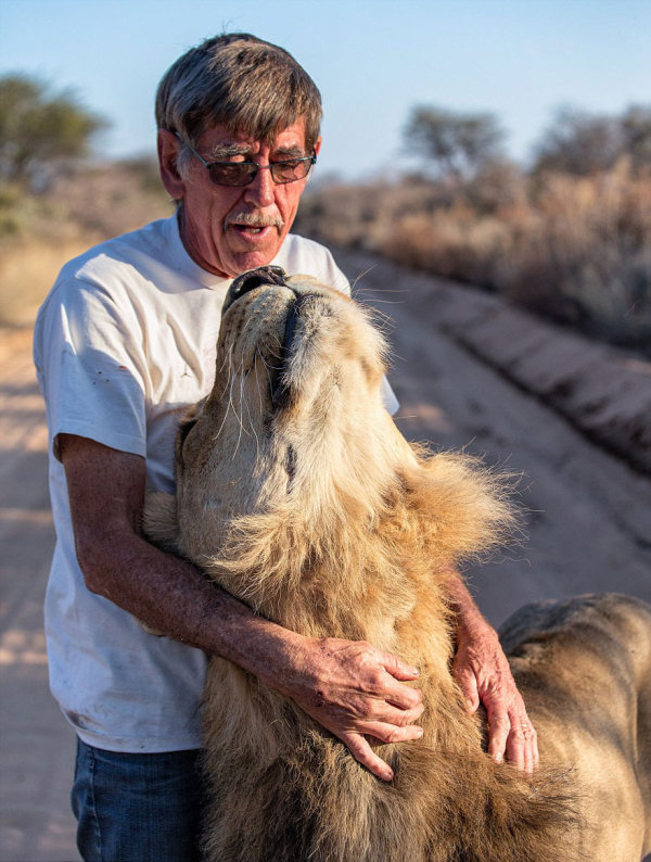 В Южной Африке мужчина и лев лучшие друзья уже 11 лет