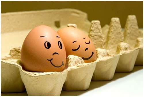 Funny eggs (21 pics)