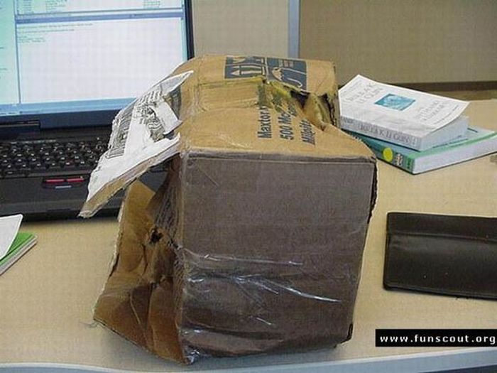 Never order new graphic card via mail (19 pics)