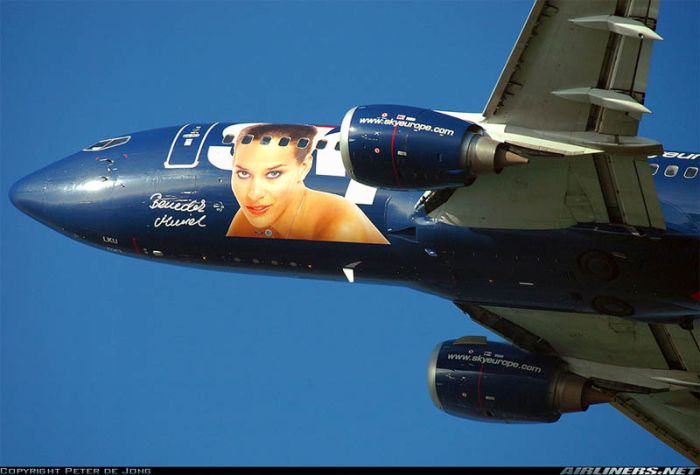 Airplane Paintings (31 pics)