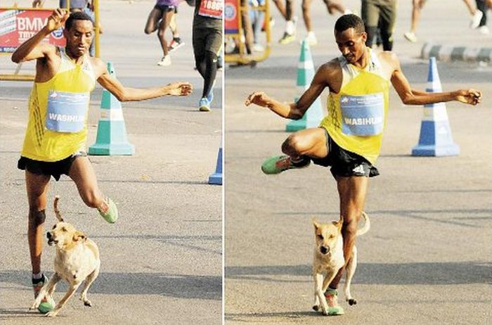 Marathon Runner Loses The Race And Gets Attacked By A Dog (2 pics)